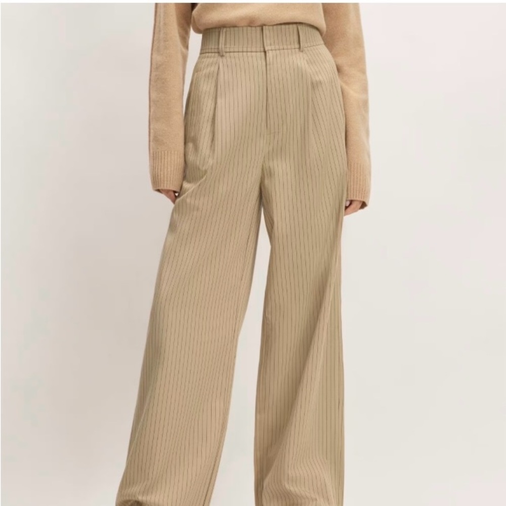 Everlane way high drape pant 4S
